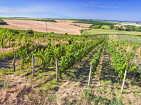 Čtvrtě - spodní část